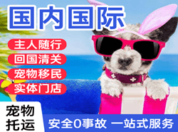 黑河瑷珲空运国际宠物托运 【国